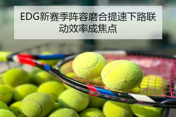 EDG新赛季阵容磨合提速下路联动效率成焦点